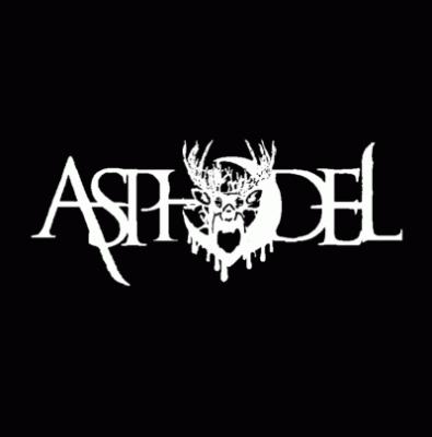 logo Asphodel TX